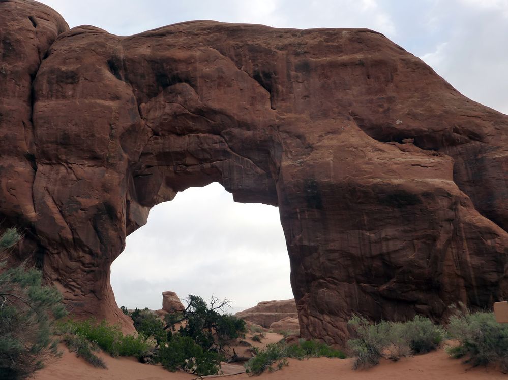 Arches NP Pine tree Arch (2).JPG